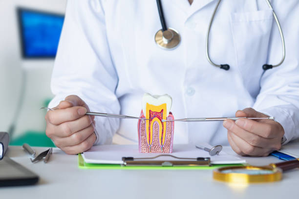 Best Cosmetic Emergency Dentistry in Millersburg, OH